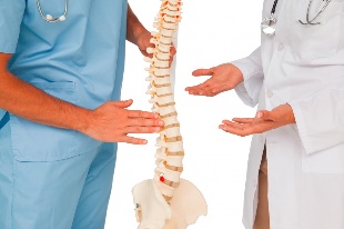 Médicos e modelo da columna vertebral